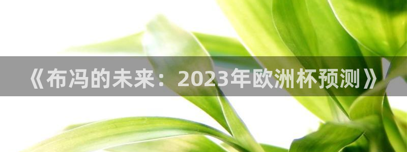 《布冯的未来：2023年欧洲杯预测》