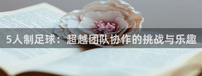 5人制足球：超越团队协作的挑战与乐趣