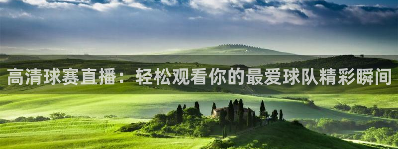 高清球赛直播：轻松观看你的最爱球队精彩瞬间