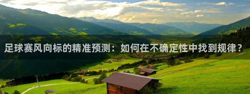 足球赛风向标的精准预测：如何在不确定