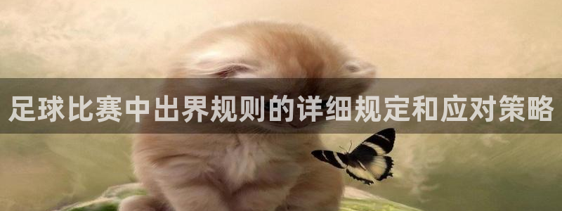  足球比赛中出界规则的详细规定和应对策略