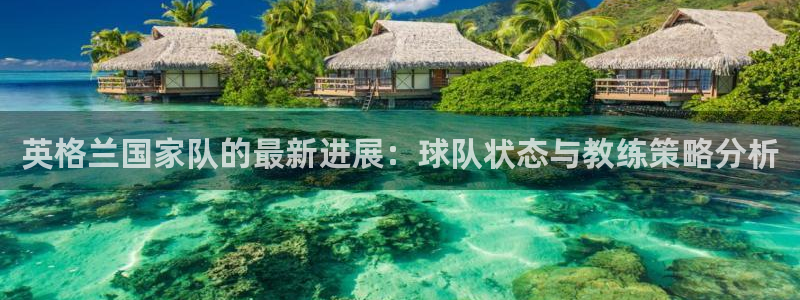 英格兰国家队的最新进展：球队状态与教练策略分析