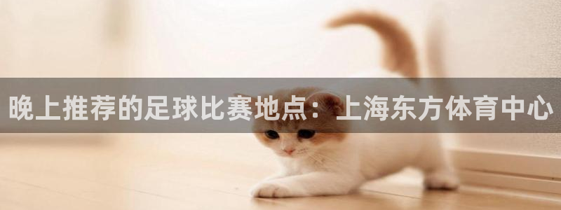 晚上推荐的足球比赛地点：上海东方体育中心