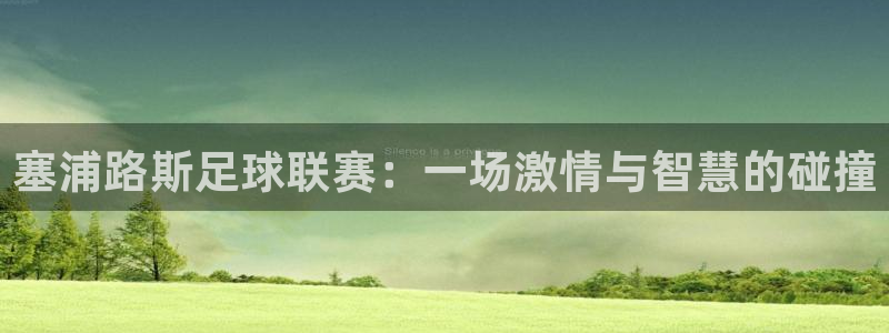 塞浦路斯足球联赛：一场激情与智慧的碰撞