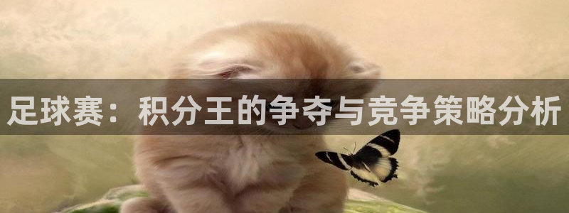 足球赛：积分王的争夺与竞争策略分析