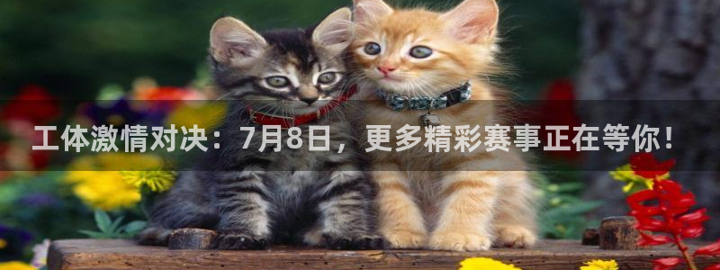 工体激情对决：7月8日，更多精彩赛事正在等你！