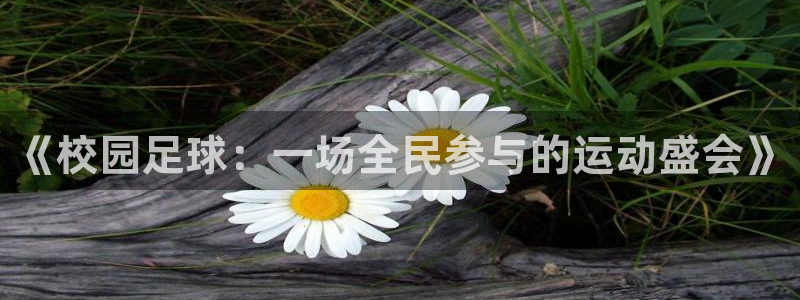 《校园足球：一场全民参与的运动盛会》