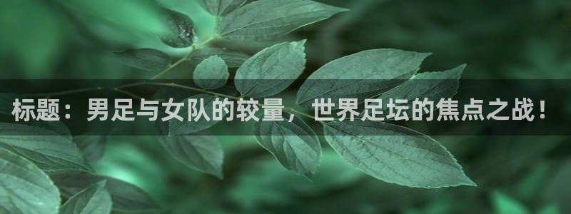  标题：男足与女队的较量，世界足坛的焦点之战！