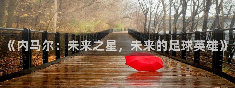 《内马尔：未来之星，未来的足球英雄》
