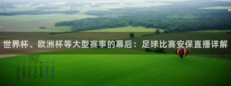 世界杯、欧洲杯等大型赛事的幕后：足球比赛安保直播详解