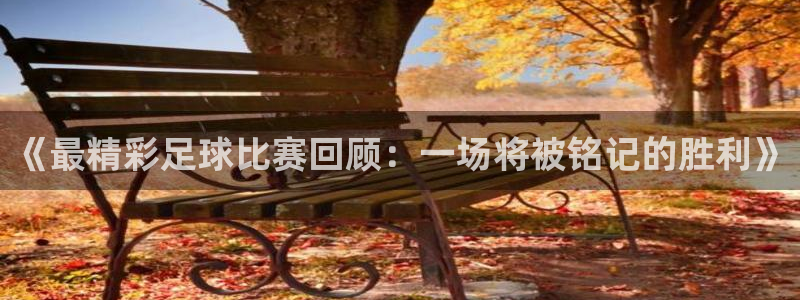 《最精彩足球比赛回顾：一场将被铭记的胜利》