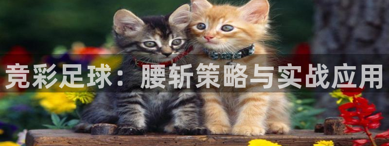 竞彩足球：腰斩策略与实战应用