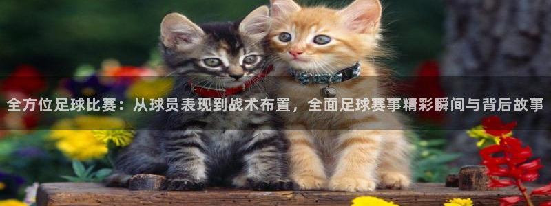 全方位足球比赛：从球员表现到战术布置，全面足球赛事精彩瞬间与