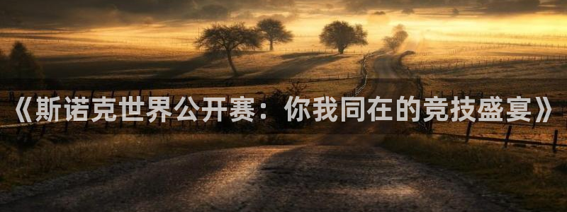 nba在线直播雨燕：《斯诺克世界公开赛：你我同在的竞技盛宴》