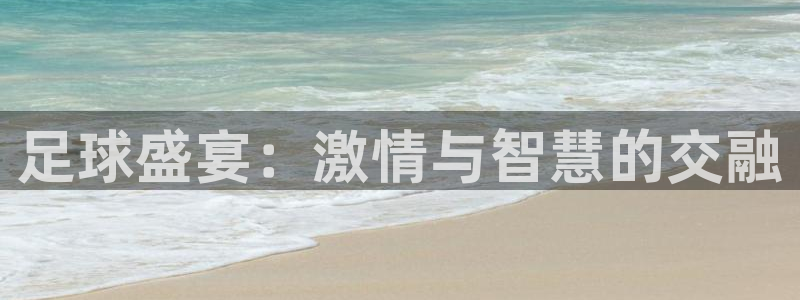  足球盛宴：激情与智慧的交融