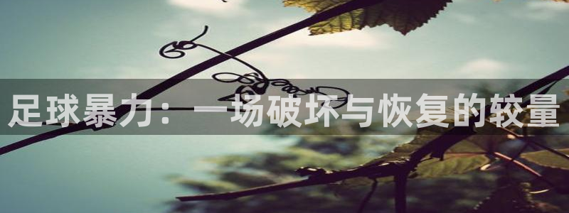  足球暴力：一场破坏与恢复的较量