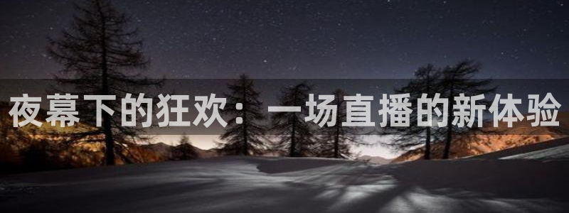 雨燕体育免费直播：夜幕下的狂欢：一场直播的新体验