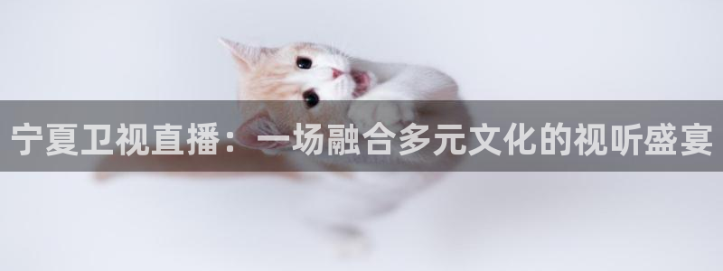 直播雨燕体育