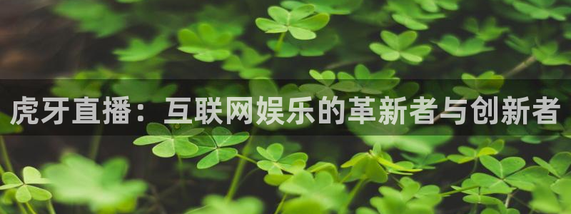 雨燕360体育直播足球