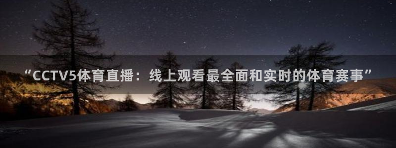雨燕足球直播网