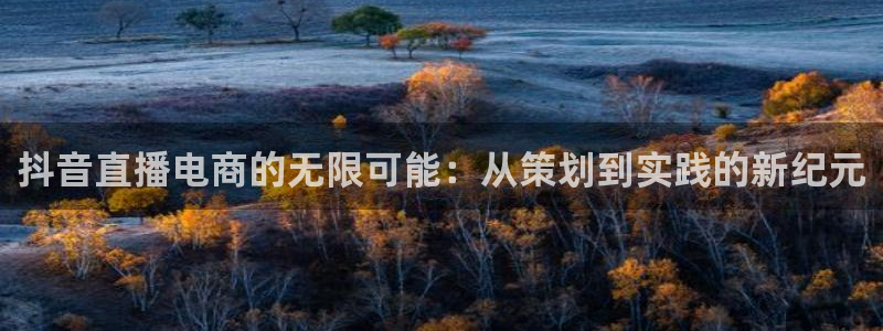 雨燕现场直播nba：抖音直播电商的无限可能：从策划到实践的新纪元