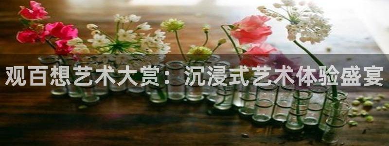 雨燕360nba免费直播：观百想艺术大赏：沉浸式艺术体验盛宴
