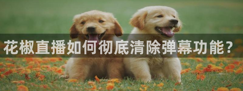 nba直播雨燕直播：花椒直播如何彻底清除弹幕功能？