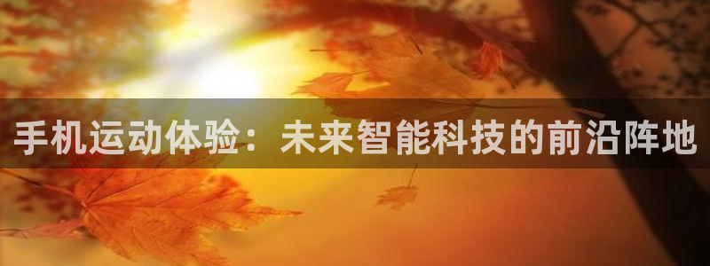 雨燕体育直播吧：手机运动体验：未来智能科技的前沿阵地