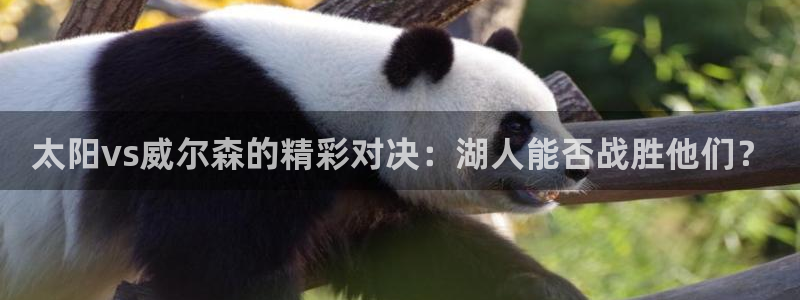 雨燕体育高清直播在线：太阳vs威尔森的精彩对决：湖人能否战胜他们？