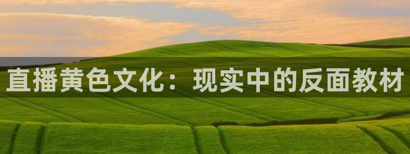雨燕体育直播在线直播观看：直播黄色文化：现实中的反面教材