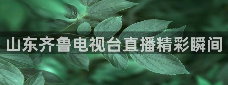 nba直播在线观看雨燕直播：山东齐鲁电视台直播精彩瞬间
