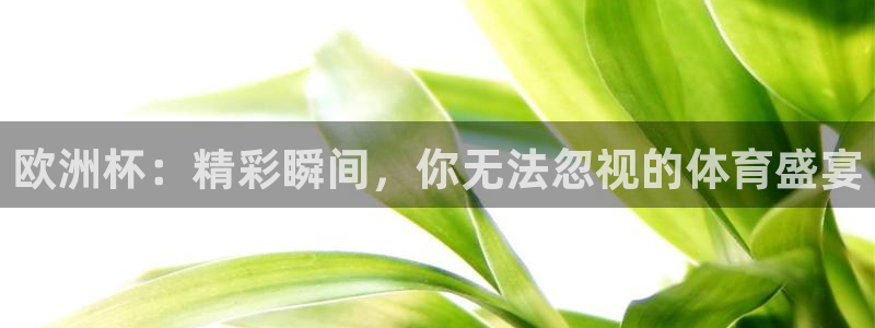 雨燕360体育最新更新内容：欧洲杯：精彩瞬间，你无法忽视的体育盛宴