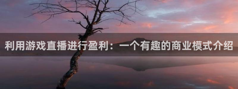 篮球直播雨燕：利用游戏直播进行盈利：一个有趣的商业模式介绍