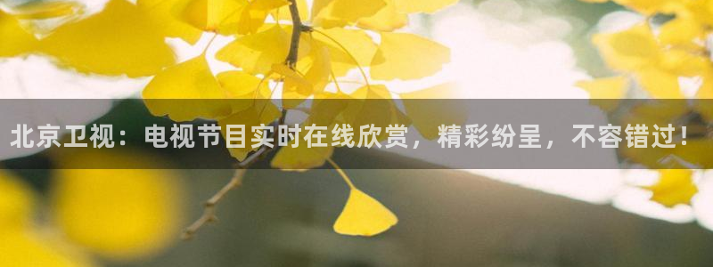 360雨燕体育直播：北京卫视：电视节目实时在线欣赏，精彩纷呈，不容错过！